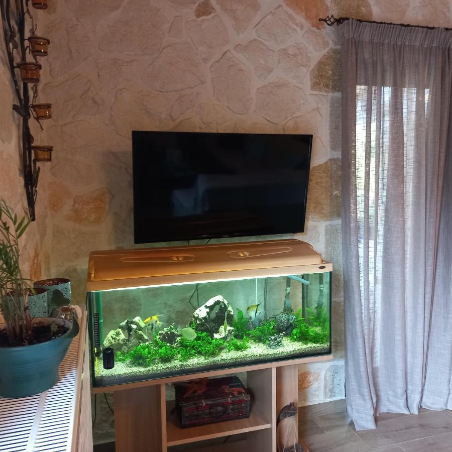 קרי Villa Liberta מראה חיצוני תמונה